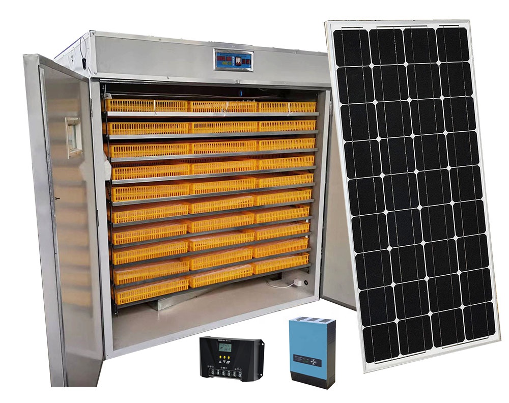 5000 Eggs   Machines for Small - Lab Incubator 评论和价格