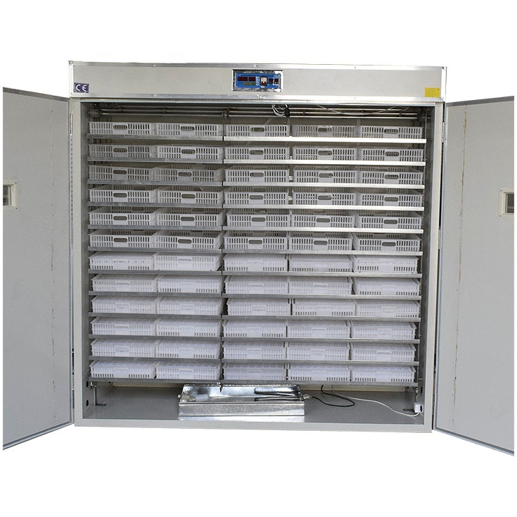 5000 Eggs   Machines for Small - Lab Incubator 评论和价格